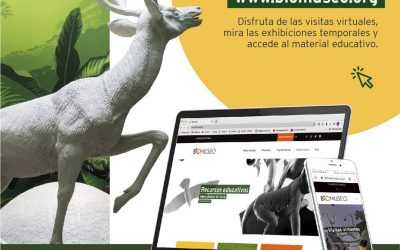 Nuevo sitio web del Biomuseo de Panamá