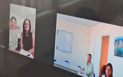 Las Embajadas de Panamá en Francia y en Bélgica siempre trabajando en equipo para alinear con nuestra Cancillería, las estrategias de nuestro país para la salida de las listas.
