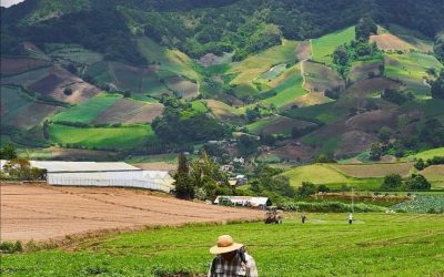 Cerro Punta, Chiriquí! Las tierras altas y la agricultura en Panamá!