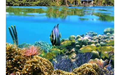 Artículo sobre Panamá.